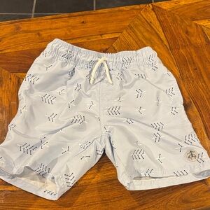 Brooks Brothers Light Blue Swim Trunks with Navy Arrow Print